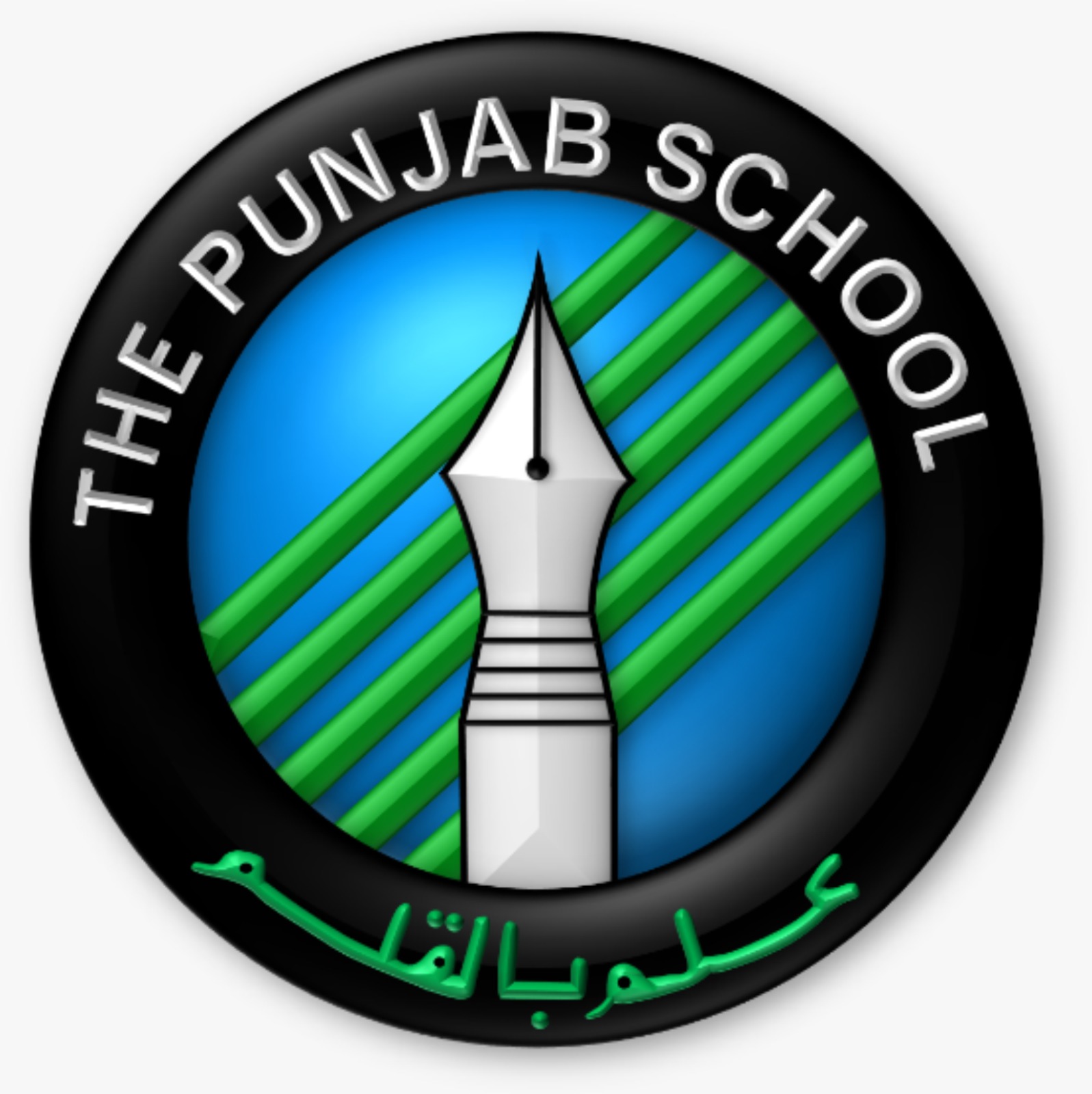 The Punjab School logo
